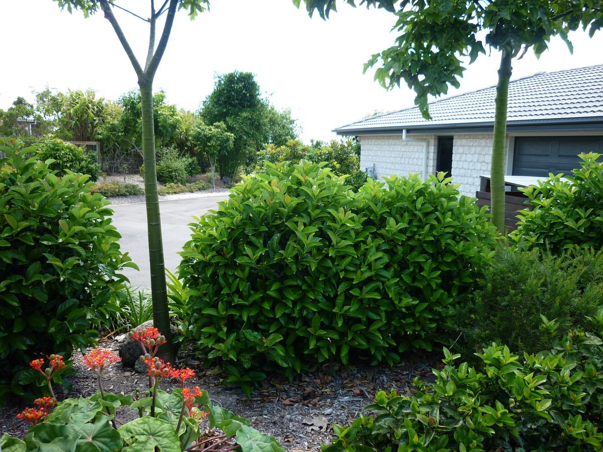 Willowbank Drive Bed & Breakfast Exteriör bild